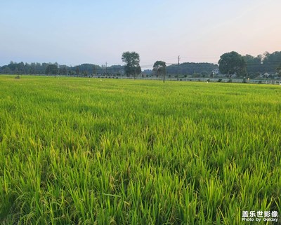 國(guó)慶第二天