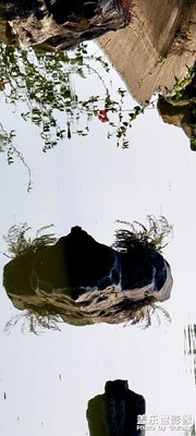 S21 ULTRA試拍。