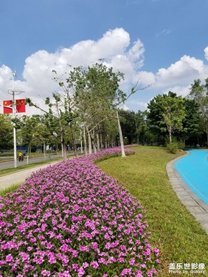 天氣晴朗，云也漂亮，用手機(jī)拍出最美的云！