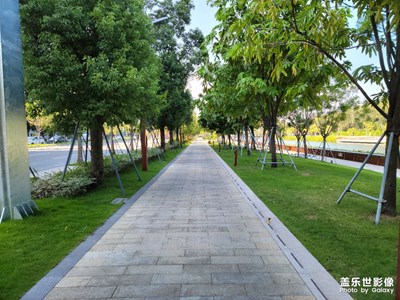 【影像從心】+相遇深圳紅樹(shù)林公園