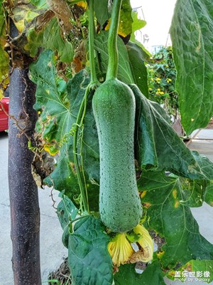 不是認(rèn)識(shí)的秋天