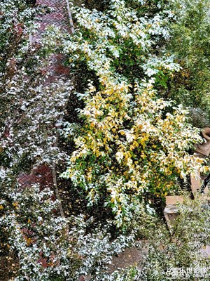 【影像從心】+秋與冬