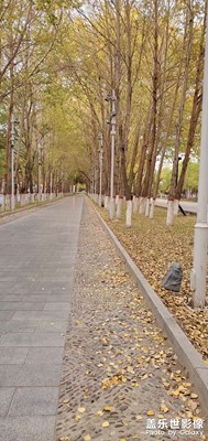 風景圖片n10  青海的秋天