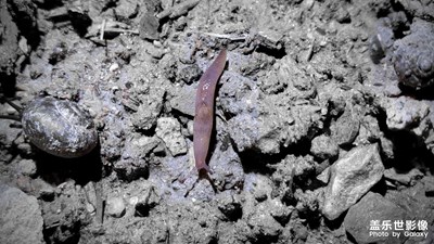 【影像從心】＋夜