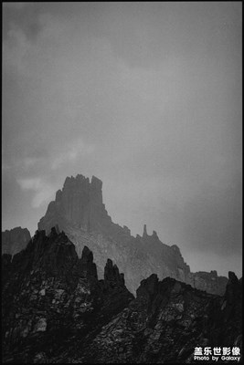 [下一世攝影]蓮寶葉則