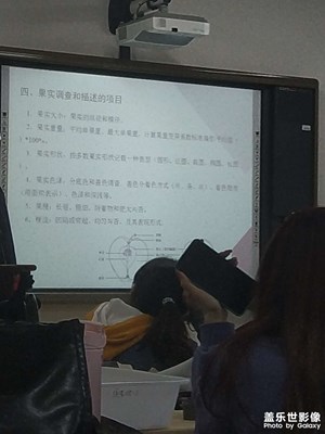 三星F52拍攝照片，太差勁了，這還是6400W的像素呢！