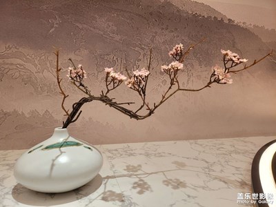 【發(fā)現(xiàn)美的眼睛】 隨拍