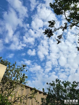 若想念是凋謝的云