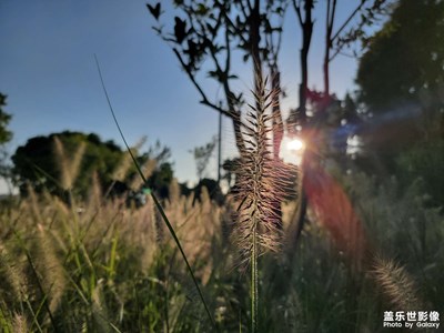 【發(fā)現(xiàn)美的眼睛】光影