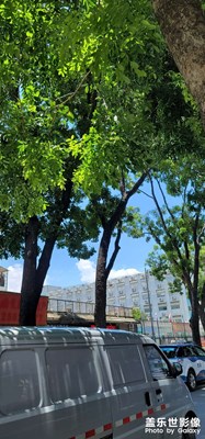 這圖怎么樣哈哈，隨拍