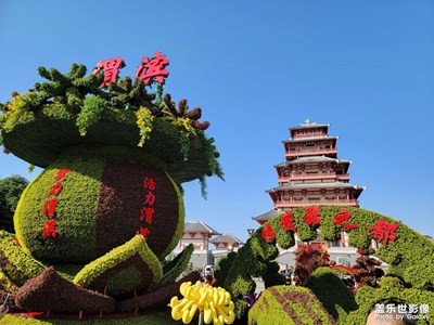 【形影不離】+秋菊石鼓