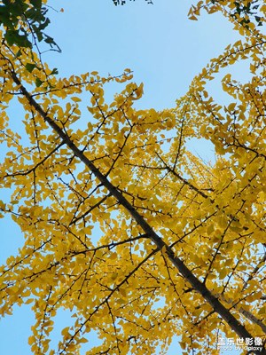 我記錄這個城市，因為它值得。