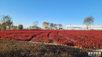 東北的深秋與美食。