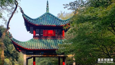 【形影不離】＋星城麗影