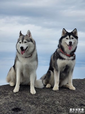 帶著“四哈”爬瀏陽大圍山