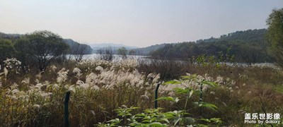 走進(jìn)撫仙湖