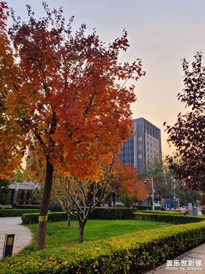 【nice day】+校園秋景