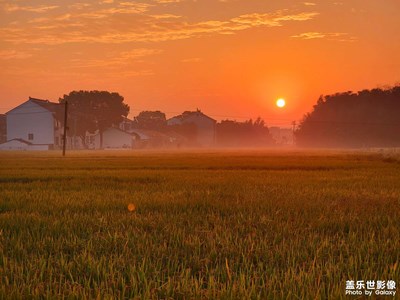 秋天的圖畫，大地的饋贈。