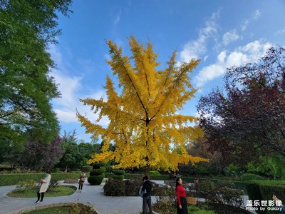 【身邊的美好】+秋高氣爽