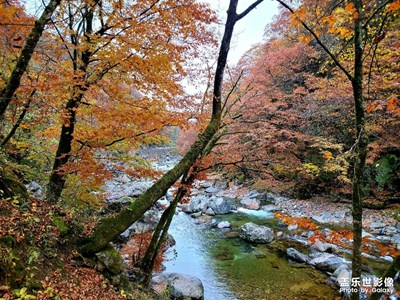 身邊的美好——光霧山秋色