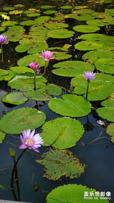 抓住夏天的尾巴