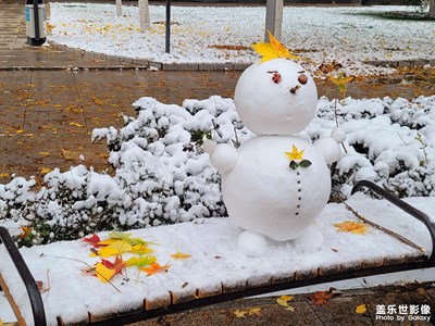 北方工大的秋2????