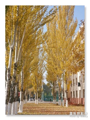 包頭高校秋景雪景