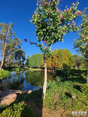 昆明大冬天熱的不行