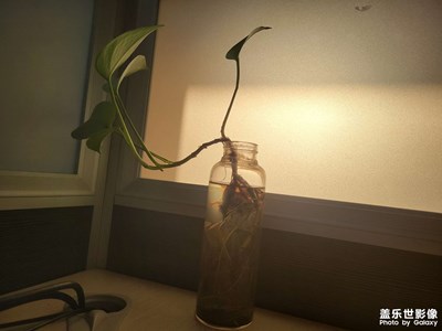 只希望時(shí)間能快點(diǎn)洗掉這段記憶，連帶這份情感……