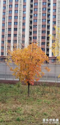 【立冬】秋天還在