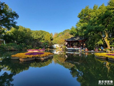 【創(chuàng)意生活】+嘉定菊花展