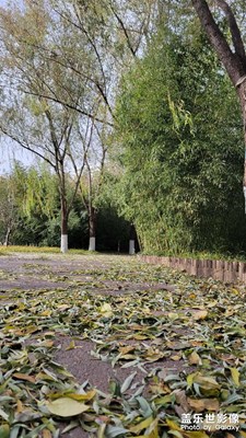 蓮花池公園閑逛