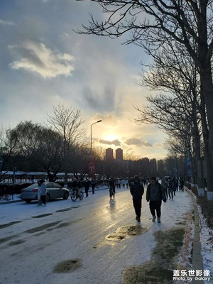 【愜意午后】雪后初晴，暖洋洋的下午