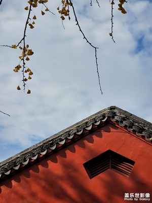 【城市漫游記】+ 深秋的岳麓山