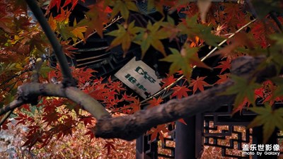 霜葉紅于二月花