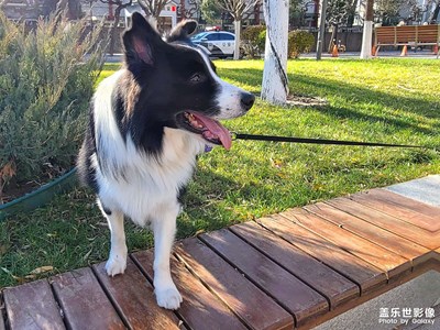 【城市漫游記】+初冬的北京