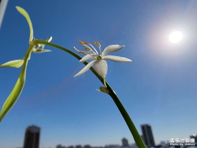 【難忘2021】+銀川的藍(lán)天！