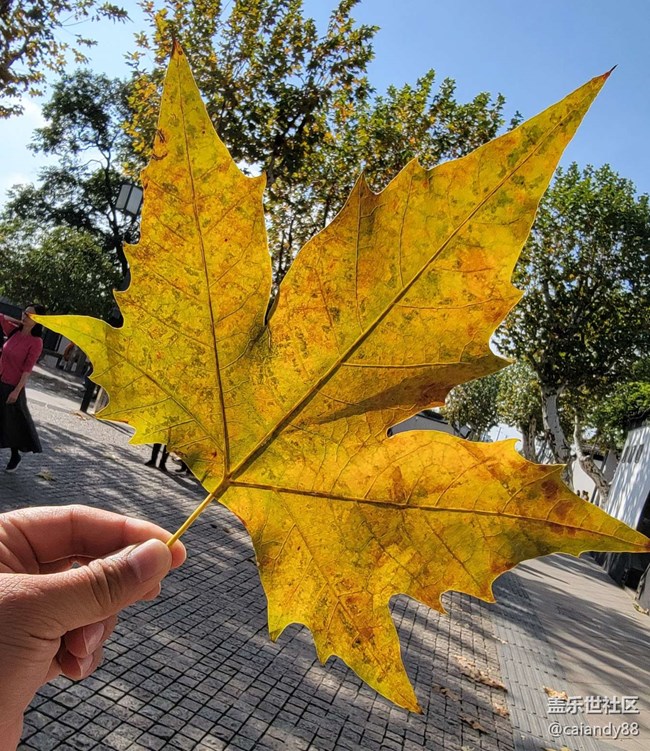 已開(kāi)獎(jiǎng)【Note版十二月第二周】回望2021