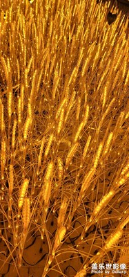 升級完安卓12的第一次拍照