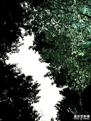 【夜景隨拍】“有幸被照亮也想成為光”