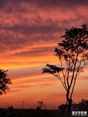 【難忘2021】+ 那些絕美日落