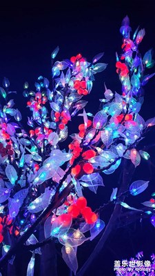 【難忘2021】+燈光秀