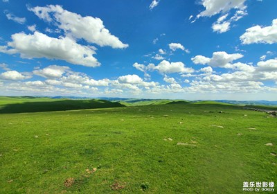 【難忘2021】+草原的清香