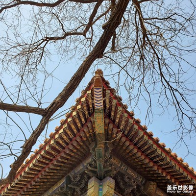 【難忘2021】這平凡又平凡的一年