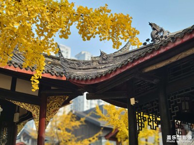 【冬日暖陽(yáng)】+成都太古里大慈寺隨拍