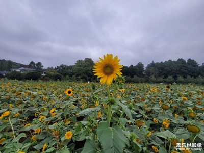 隨手拍，別介意