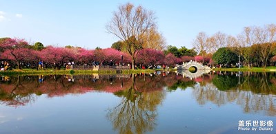 【難忘2021】+南北足跡(一)