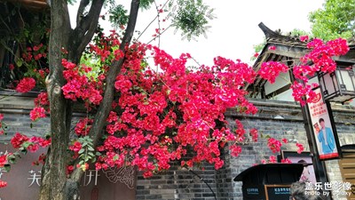 【難忘2021】時(shí)光飛逝
