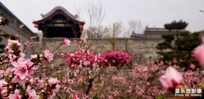 【難忘2021】+足跡(二)