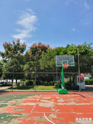 【難忘2021】＋隨拍記錄生活